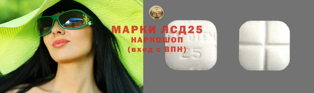 мдпв Нея