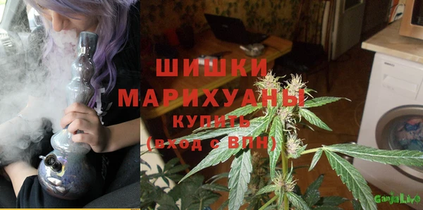 ГАЛЛЮЦИНОГЕННЫЕ ГРИБЫ Билибино