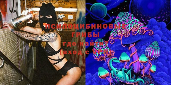 ГАЛЛЮЦИНОГЕННЫЕ ГРИБЫ Билибино