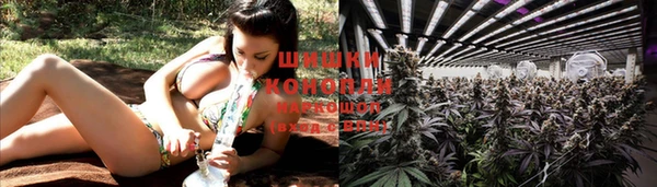 амф Надым