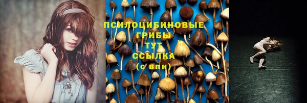 гидра Нефтекумск